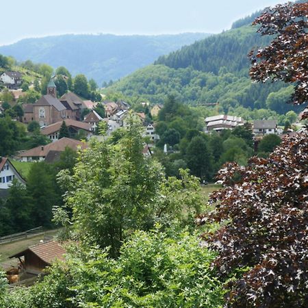 Schnurrenhof Apartman Seebach Kültér fotó
