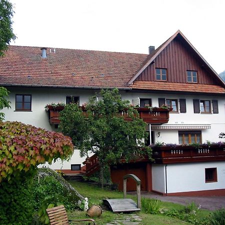 Schnurrenhof Apartman Seebach Kültér fotó