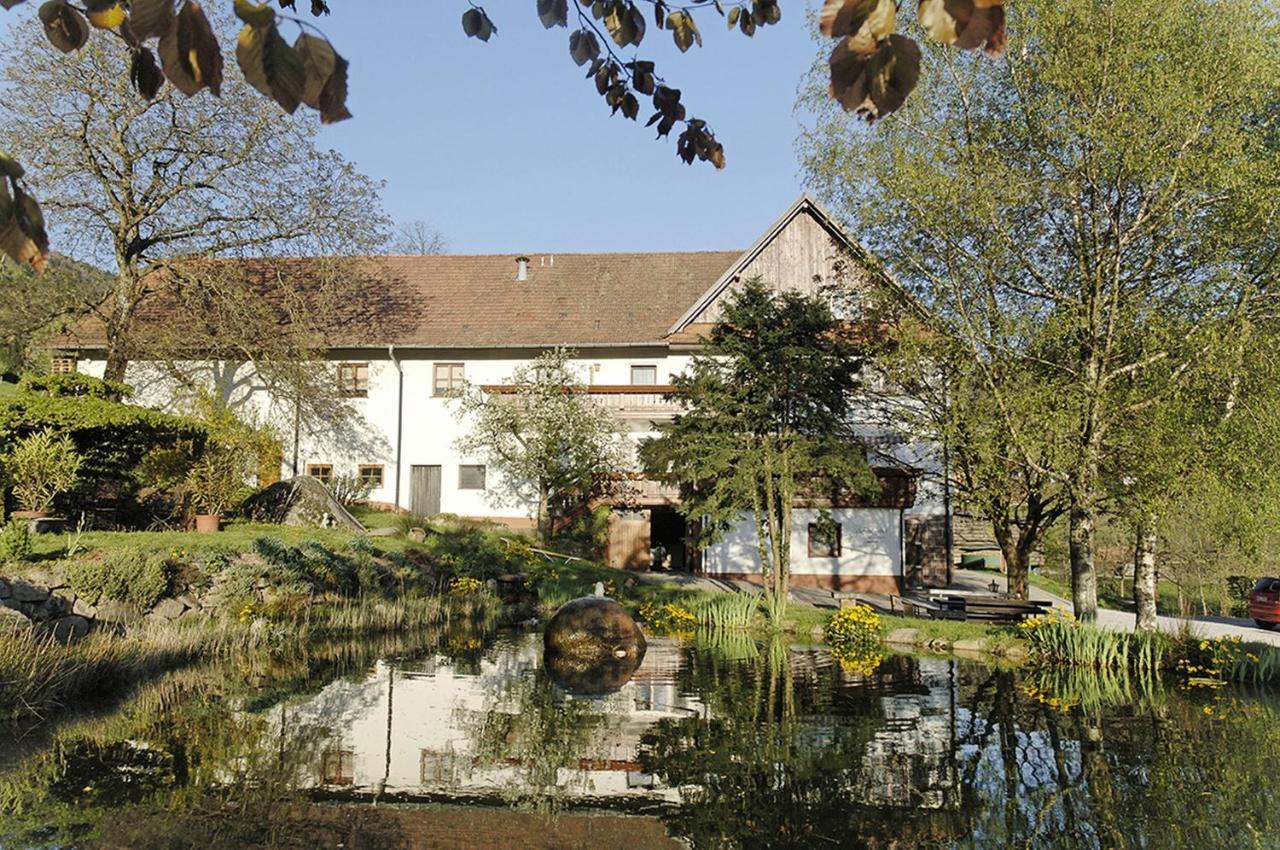 Schnurrenhof Apartman Seebach Kültér fotó