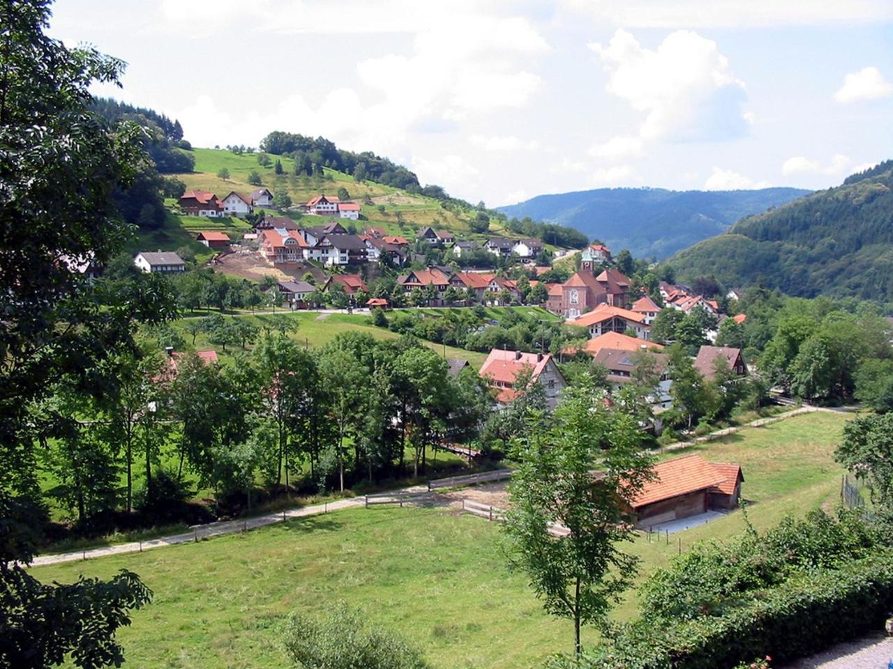 Schnurrenhof Apartman Seebach Kültér fotó