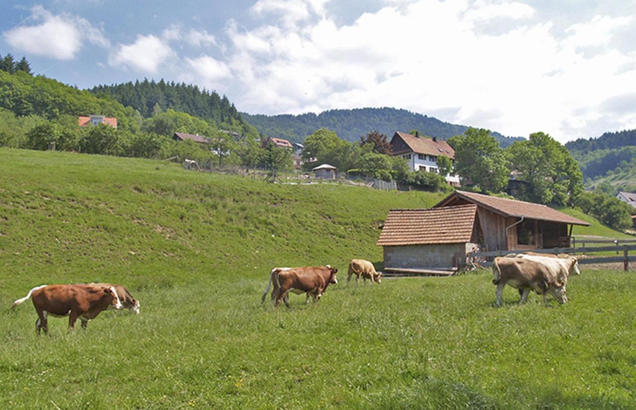 Schnurrenhof Apartman Seebach Kültér fotó