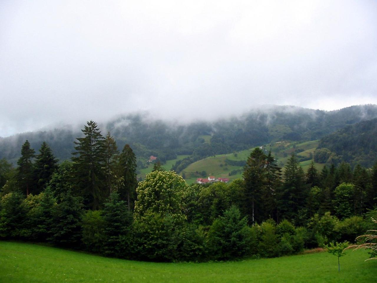 Schnurrenhof Apartman Seebach Kültér fotó