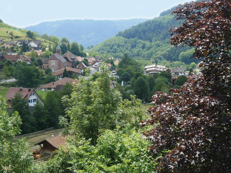 Schnurrenhof Apartman Seebach Kültér fotó